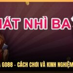 Bài Nhất Nhì Ba Go88 – Cách Chơi Và Kinh Nghiệm Cược Hiệu Quả